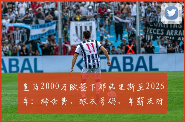 皇马2000万欧签下邓弗里斯至2026年：转会费、球衣号码、年薪及对后防线的实质影响分析