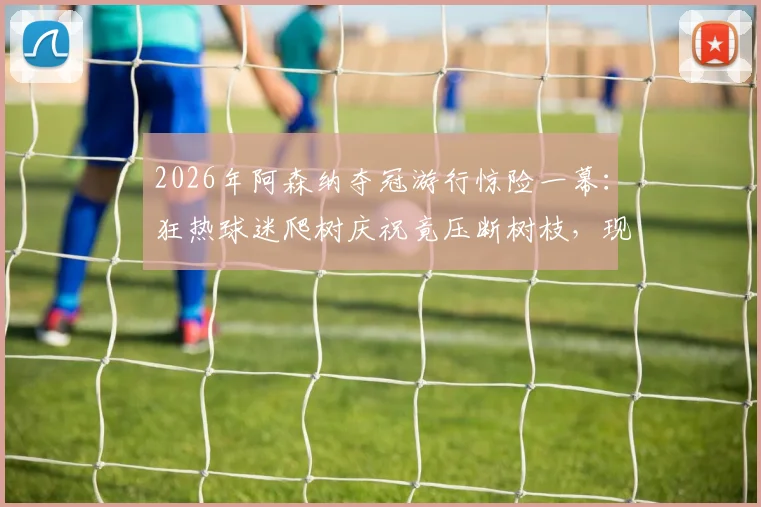 2026年阿森纳夺冠游行惊险一幕：狂热球迷爬树庆祝竟压断树枝，现场视频揭示球迷庆祝安全须知