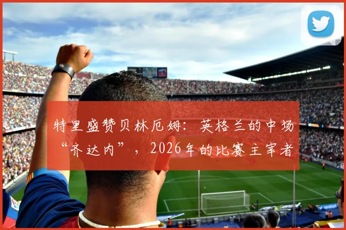特里盛赞贝林厄姆：英格兰的中场“齐达内”，2026年的比赛主宰者能力解析与未来展望